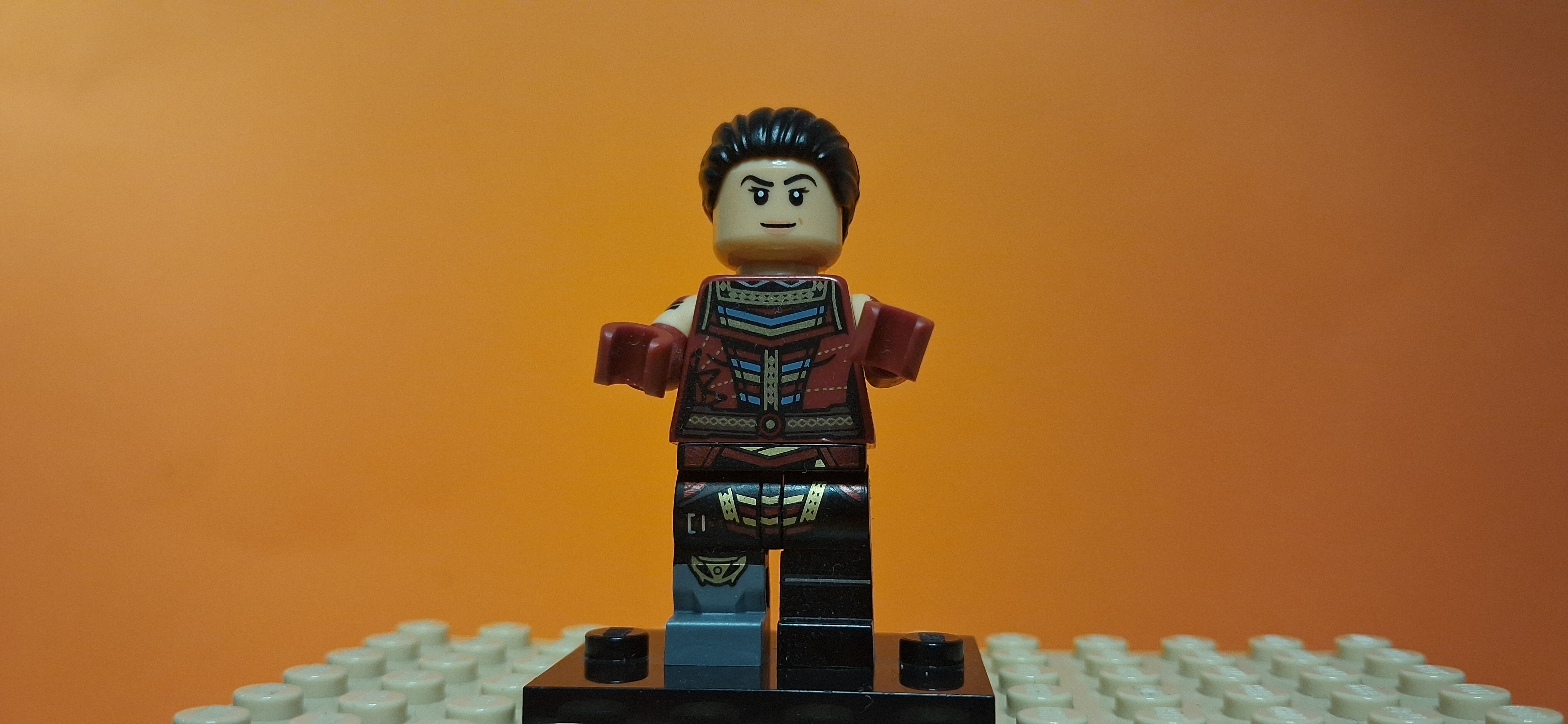 Minifig 53
